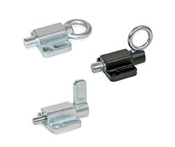 GN 722.6-Spring indexing plungers with ring or lever